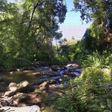 Brevisbrook B&B Pietermaritzburg Luaran gambar